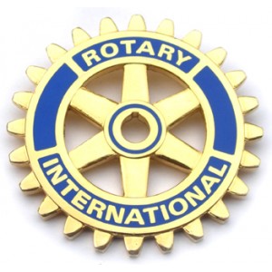 Rotary Pin